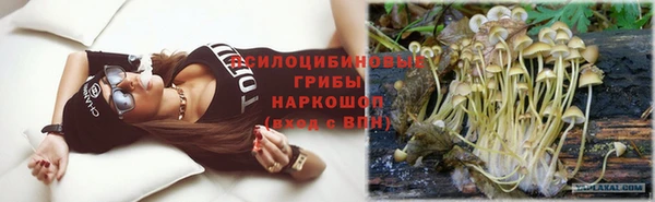ГАЛЛЮЦИНОГЕННЫЕ ГРИБЫ Баксан