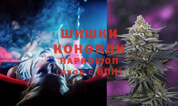 ГАЛЛЮЦИНОГЕННЫЕ ГРИБЫ Баксан
