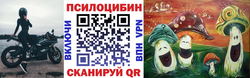 Купить закладки  Облучье  Галлюциногенные грибы мицелий 
